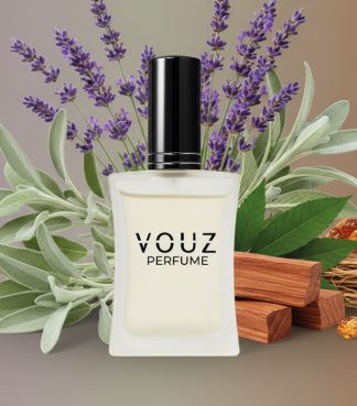 Inspirado en Ralph Club